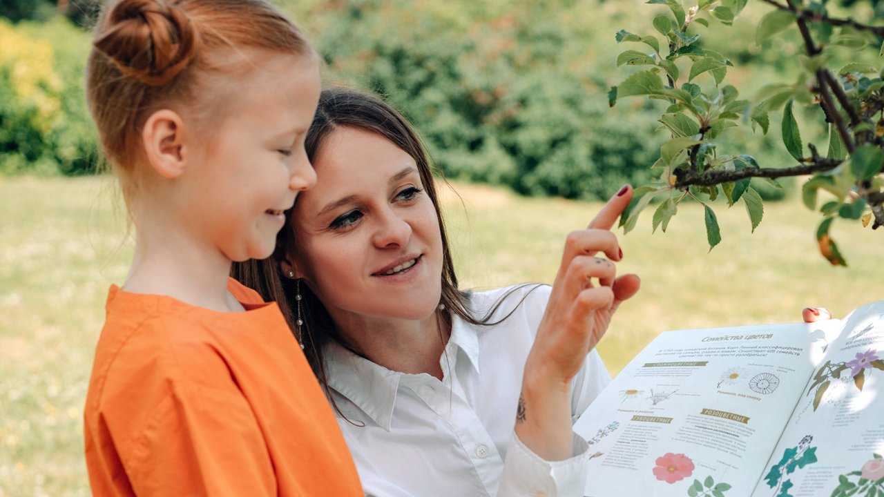 Pädagogische Kräfte In Kindertagesstätten: Bildungsportal Niedersachsen