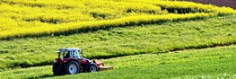 Bild von einem leicht hügeligen Acker mit einem Traktor