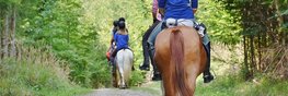 Gruppe von Reiterinnen im Wald