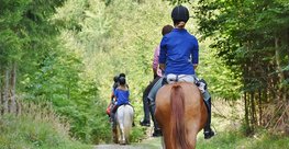 Gruppe von Reiterinnen im Wald